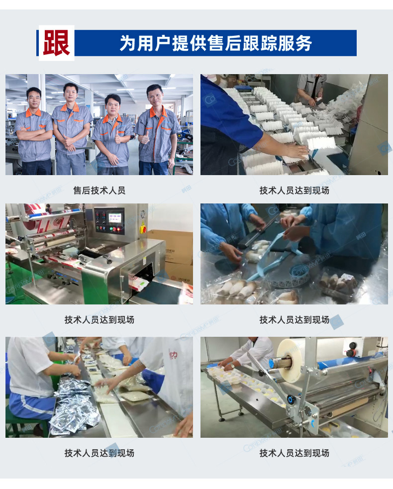 一拖一圆盘理料包装线