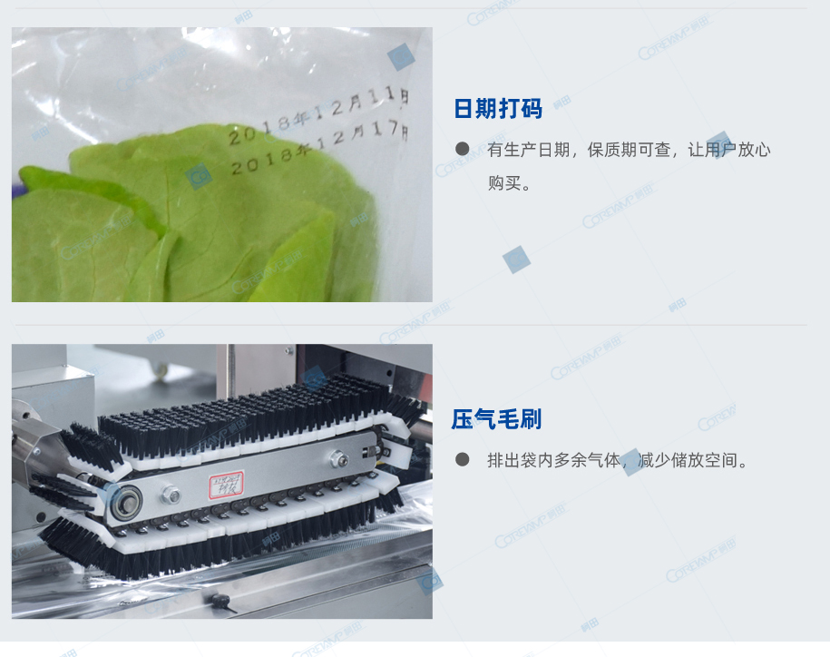 VT-110-210-食品_06