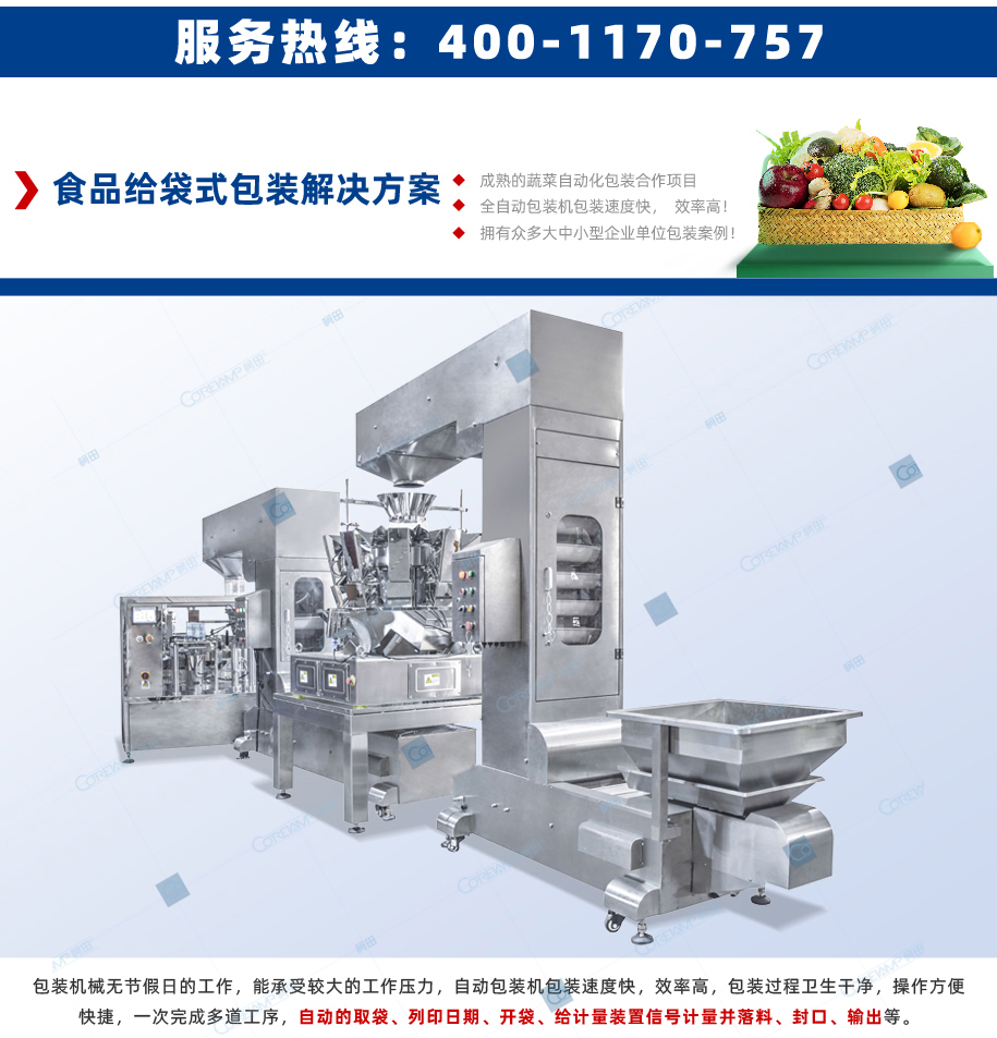 ZV-8200-给袋式包装机_02