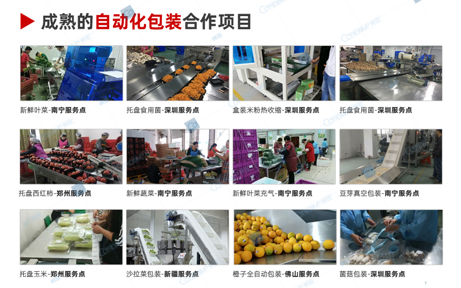 装箱封箱机_14