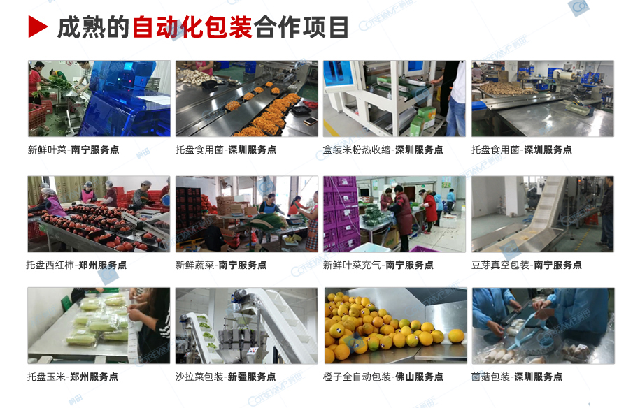 自动L型热收缩封切_14