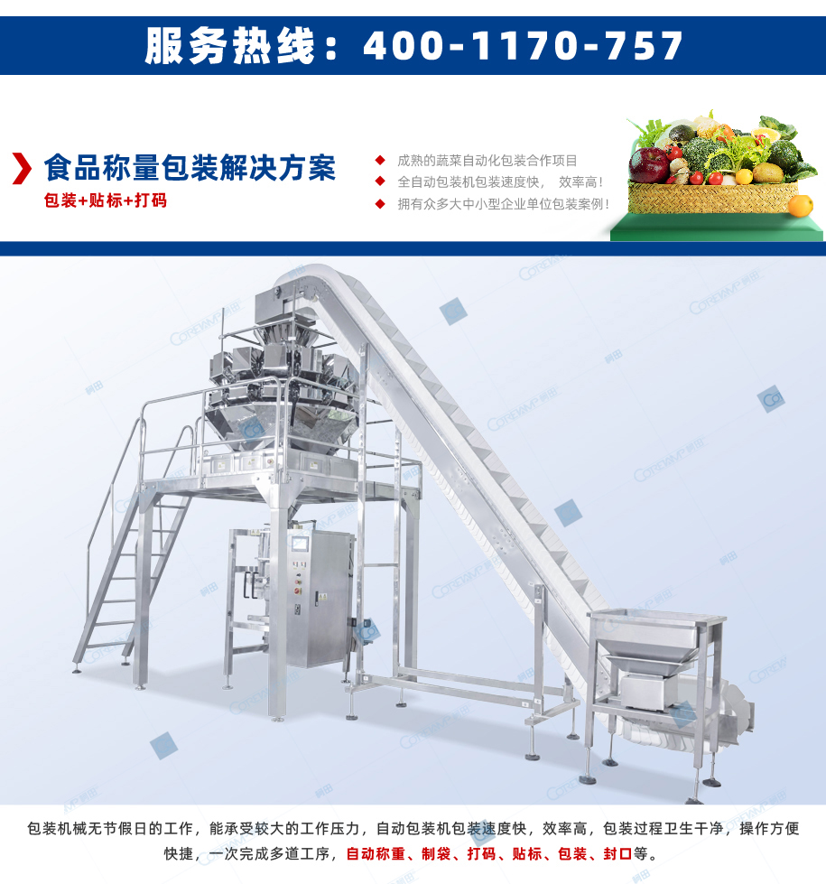 ZV-520-十四头电子秤_02