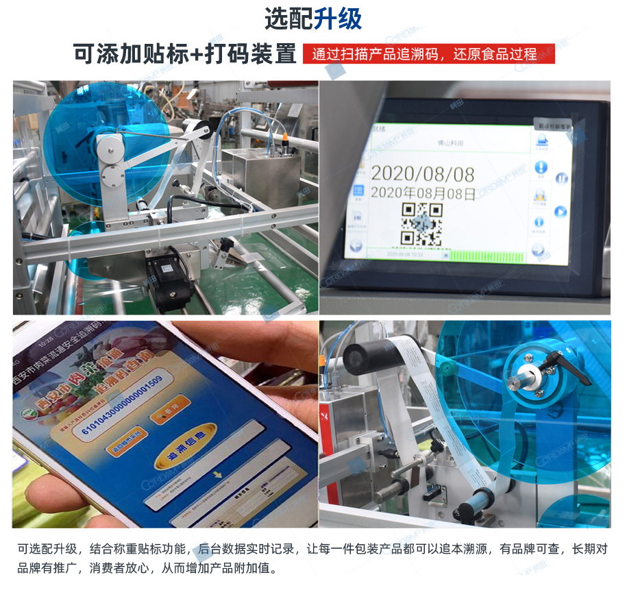 ZV-520-十四头电子秤_07