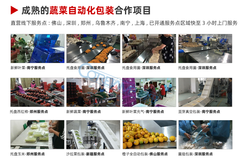 半自动气调包装机_17