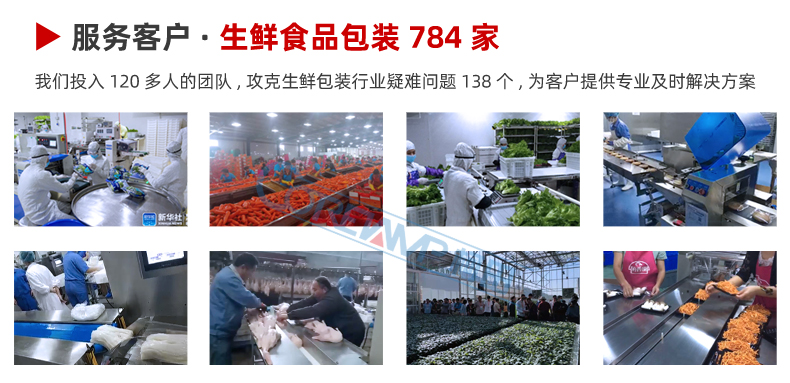 半自动气调包装机_18